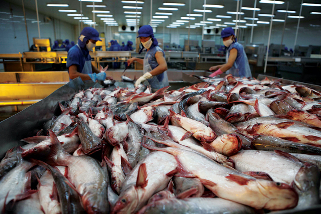 9 tháng, xuất khẩu cá tra đạt gần 1,2 tỷ USD