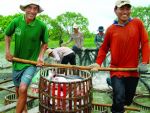 Hiệp hội Thủy sản Đồng Tháp: Ổn định và phát triển