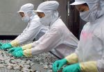 Nhật Bản: Nâng mức giới hạn dư lượng Trifluralin trong thuỷ sản lên 0,5 ppm 