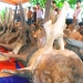Cá voi cứu ngư dân trong bão dữ