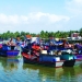 Hoài Hương, khi cả xã đồng lòng...