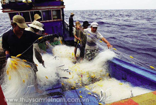 Ngư dân khai thác thủy sản biển xa   Ảnh: Xuân Trường