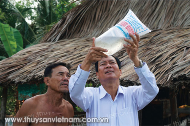Giám đốc Dương Hùng trực tiếp kiểm tra tôm giống trước khi trao tặng cho người nuôi   Ảnh: Nguyệt Nga