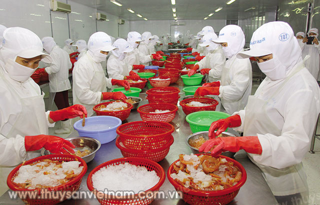 Doanh nghiệp cần tìm hiểu thị trường trước khi xuất khẩu     Ảnh: Quang Quyết