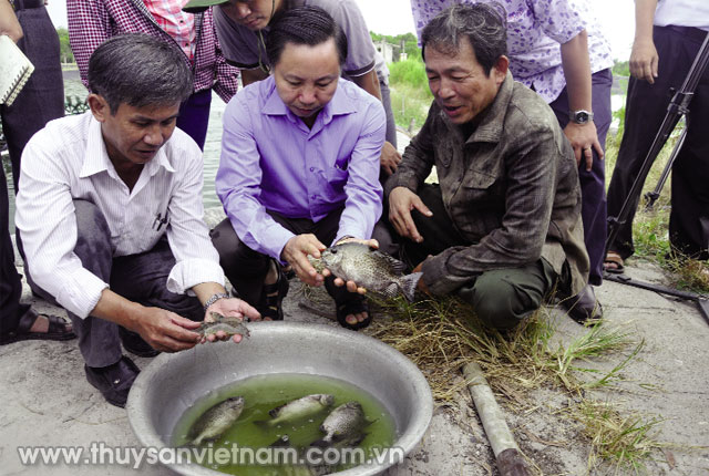 Ông Kim Văn Tiêu, Phó Giám đốc Trung tâm Khuyến nông Quốc gia (giữa) chia sẻ về mô hình nuôi xen ghép TTCT - cá dìa    Ảnh: TTKNQG