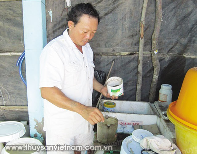 Ông Phạm Thái Hòa chuẩn bị thức ăn cho tôm   Ảnh: KT