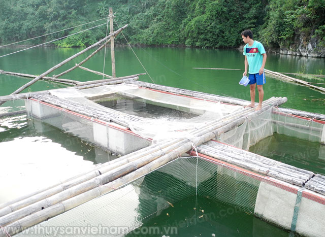 hòa bình nâng cao giá trị gia tăng ngành thủy sản