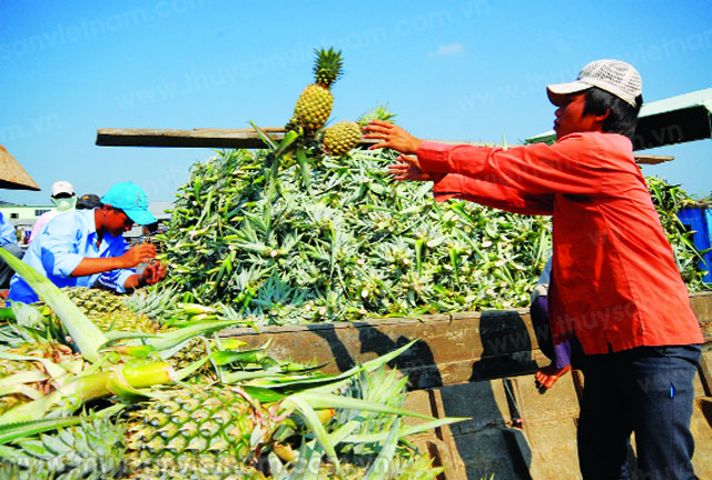 nông thôn mới cần thơ