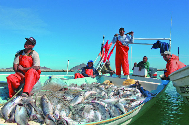 khai thác thủy sản ở Mexico