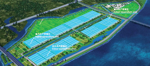 Trung Quốc: Nuôi tôm bền vững bằng mô hình siêu trang trại