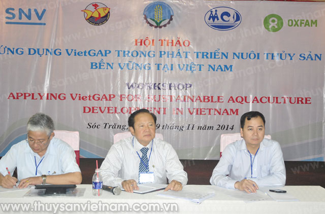 Ứng dụng VietGAP trong phát triển NTTS bền vững tại Việt Nam