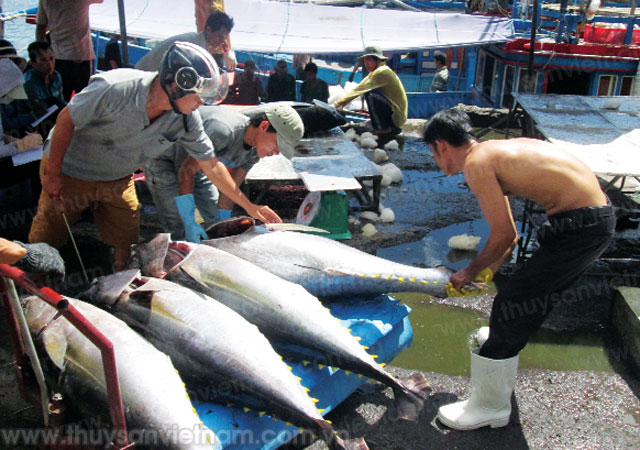 chung tay vì nghề cá bền vững
