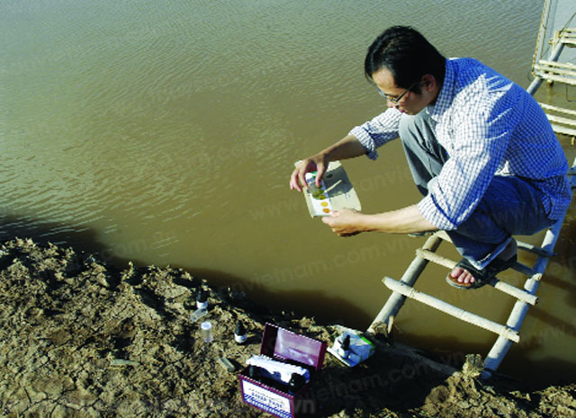 Quản lý chất lượng nước trong ao nuôi mùa mưa
