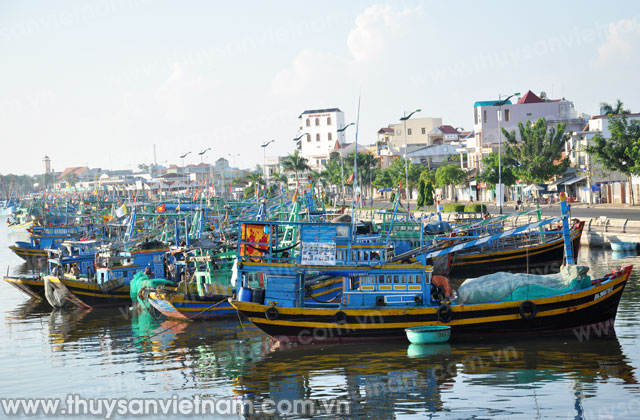 Sản lượng khai thác thủy sản tại Bình Thuận giảm đi đáng kể Sản lượng khai thác thủy sản tại Bình Thuận giảm đi đáng kể