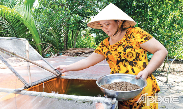 Khởi nghiệp với mô hình nuôi ếch – Tạp chí Thủy sản Việt Nam