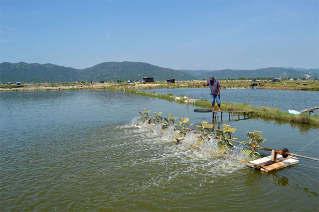 Nuôi trồng thủy sản Phú Yên năm 2021