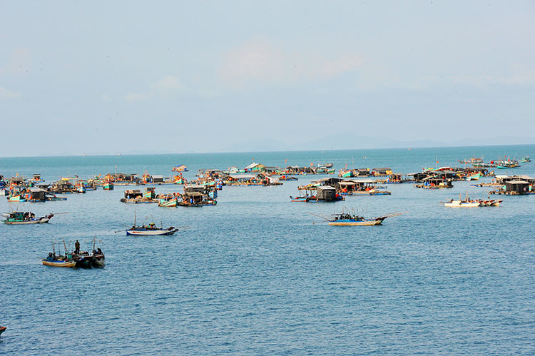 Nghề nuôi biển ở Kiên Giang có tiềm năng đạt 1 tỷ USD/năm – Tạp chí Thủy sản Việt Nam
