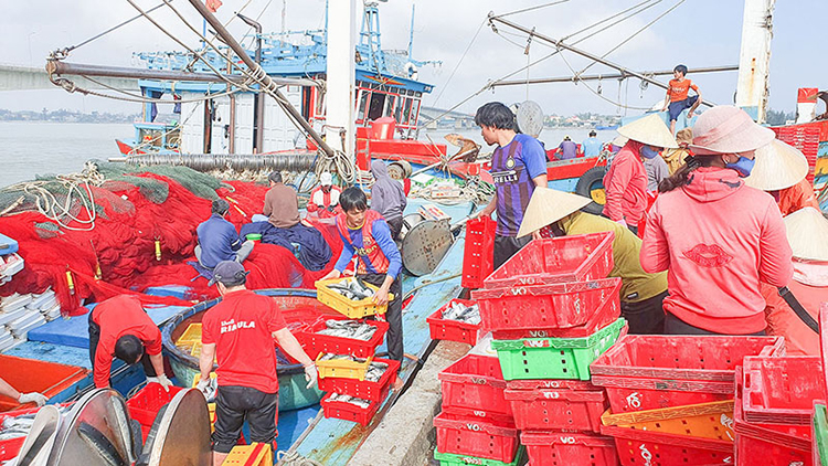 hải sản cửa việt