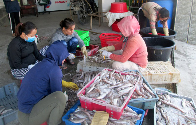 hải sản quỳnh lưu