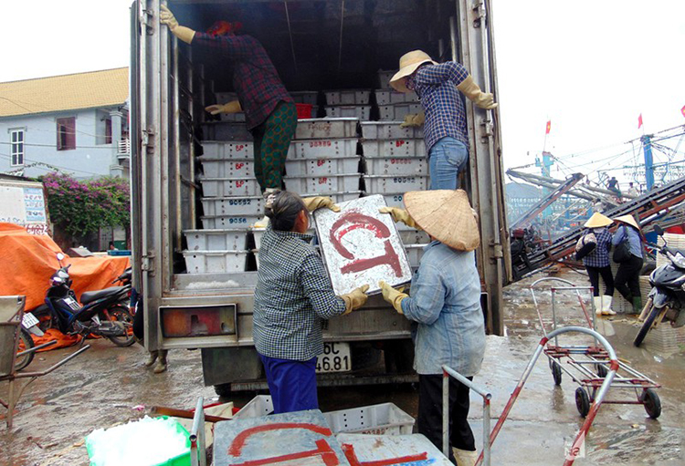 hải sản quỳnh lưu