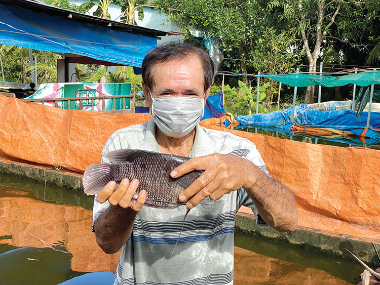 Độc đáo nuôi cá tai tượng trong bể xi măng giữa lòng đô thị  Tạp chí Thủy  sản Việt Nam