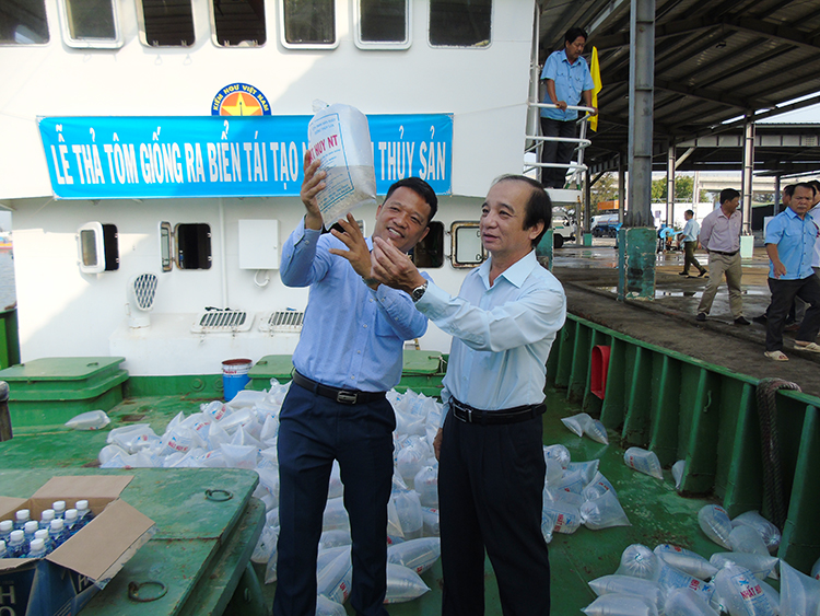 thả tôm giống biển ninh chữ