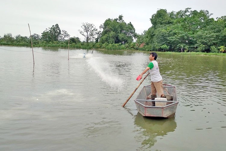 Kinh nghiệm sử dụng TCCA hiệu quả nhất – Tạp chí Thủy sản Việt Nam