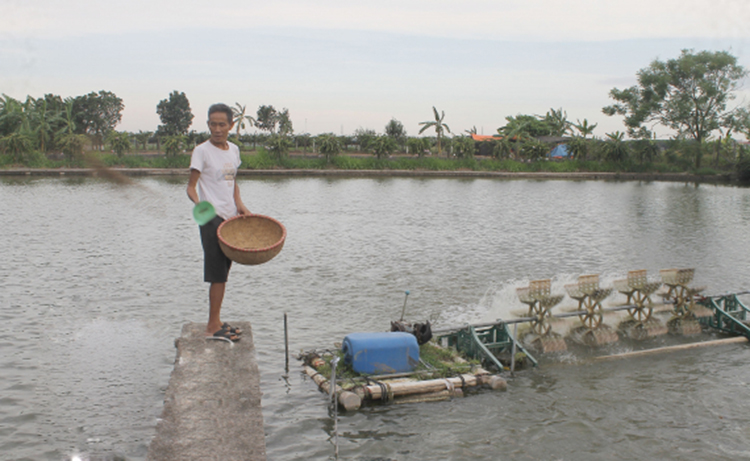 giá thủy sản