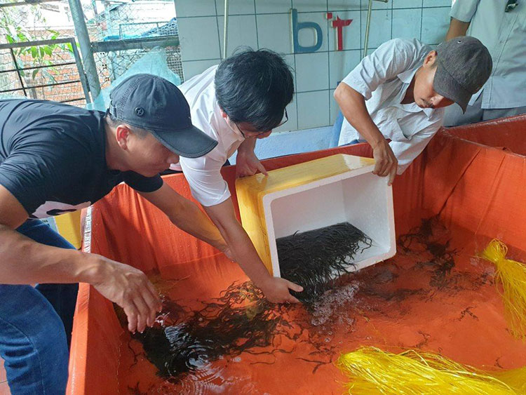 Mô hình nuôi lươn không bùn ở Hải Giang  Báo Nam Định điện tử