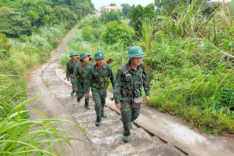 đảo sơn dương