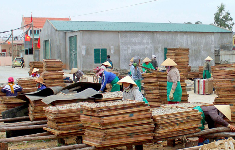 hải sản nghệ an