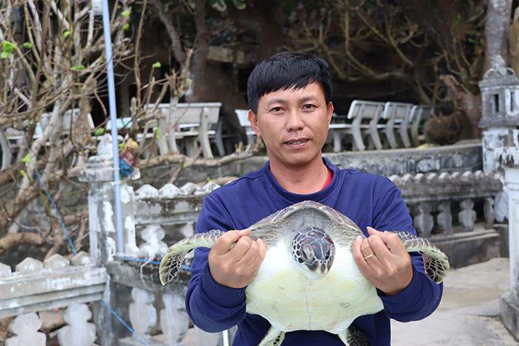 Quảng Ngãi: Huyện đảo Lý Sơn thả cá thể rùa quý hiếm về môi trường tự nhiên – Tạp chí Thủy sản Việt Nam