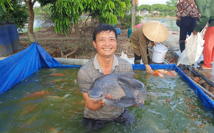 Vì sao Cá Trắm Đen Sông Đà lại đặc biệt đến thế