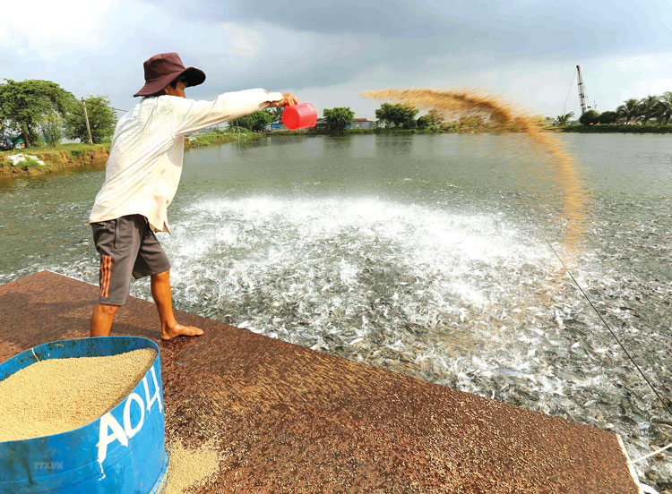 Mô hình sinh thái khép kín nâng cao chuỗi giá trị cho ngành chế biến thủy  sản ở Đồng bằng Sông Cửu Long