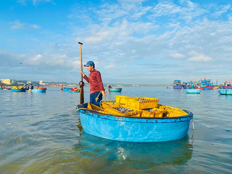 chợ cá Châu Thuận Biển