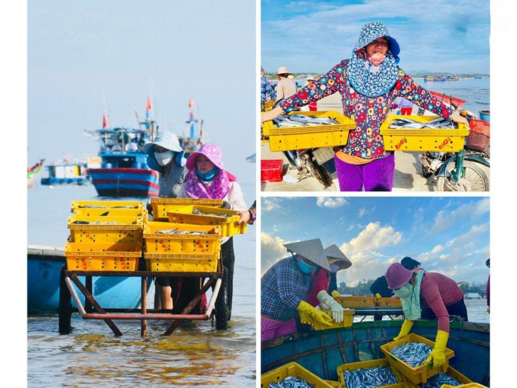 chợ cá Châu Thuận Biển