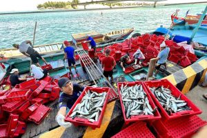 Quảng Trị: Tập trung giám sát nguồn gốc thủy sản ngay tại cảng cá – Tạp ...