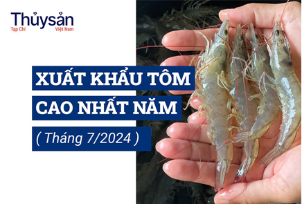 [Infographic] – Tháng 7, xuất khẩu tôm cao nhất kể từ đầu năm 2024 – Tạp chí Thủy sản Việt Nam