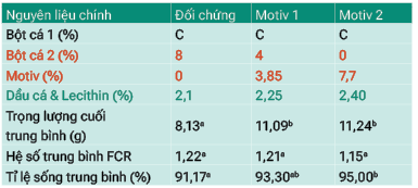 bang-1-cargill.png