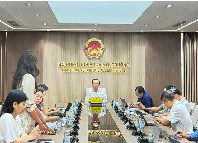 A2.jpg