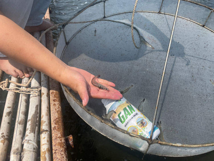 HINH-3.jpg