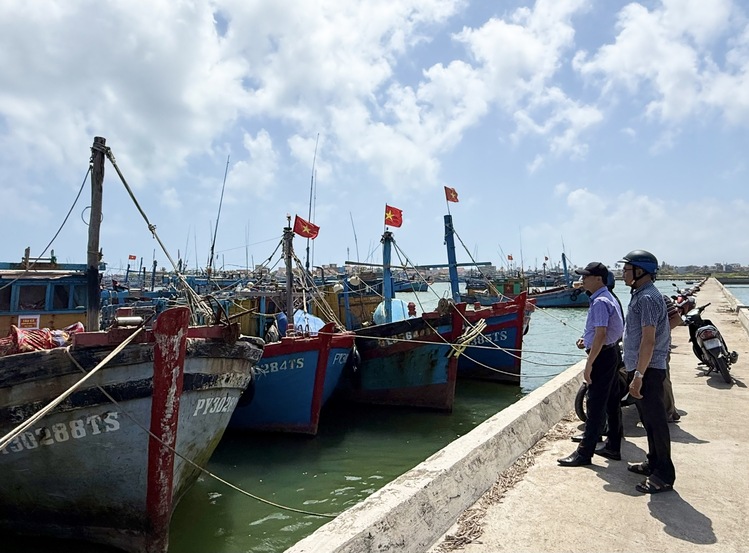 Tau-ca-Phu-Yen-1.jpg