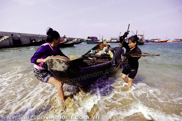 biển miền trung đã an toàn