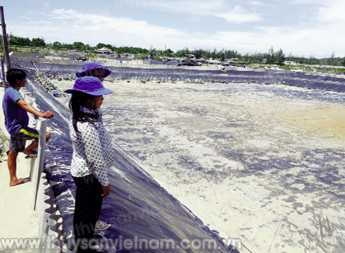 khắc khoải vì tôm khắc khoải vì tôm