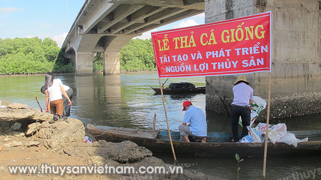Chi cục Thủy sản Bà Rịa - Vũng Tàu thả cá tái tạo nguồn lợi thủy sản