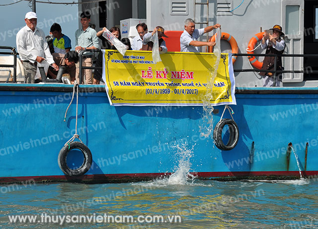 Cà Mau thả cá giống phục hồi và tái tạo nguồn lợi thủy sản 