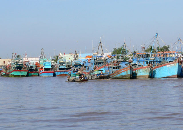 Chuỗi hoạt động của Chủ tịch Hội Nghề cá Việt Nam - TS Nguyễn Việt Thắng tại Bến Tre 