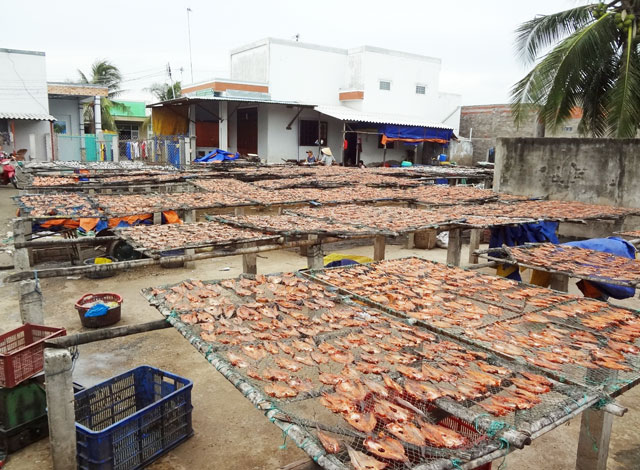 Làng nghề chế biến thủy sản khô truyền thống xã An Thủy, huyện Ba Tri