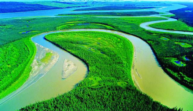 sông amazon thuộc châu lục nào