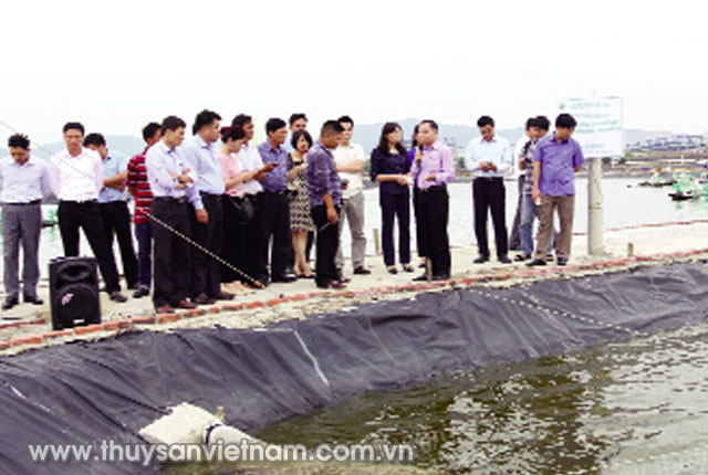 Trung tâm Khuyến nông Quốc gia giới thiệu mô hình nuôi tôm tại Quảng Ninh   Ảnh: Mai Phương
